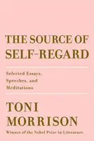 Zdroj sebaúcty: Zdroj energie: Vybrané eseje, prejavy a meditácie - The Source of Self-Regard: Selected Essays, Speeches, and Meditations