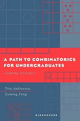 Cesta ku kombinatorike pre vysokoškolákov: Stratégie počítania - A Path to Combinatorics for Undergraduates: Counting Strategies