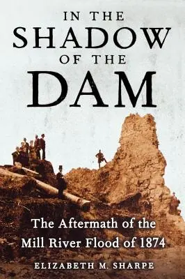 V tieni priehrady: následky povodne na rieke Mill v roku 1874 - In the Shadow of the Dam: The Aftermath of the Mill River Flood of 1874