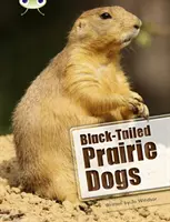 Klub chrobákov Nezávislá literatúra faktu Druhý ročník Biela B Prérijné psy čiernochvosté - Bug Club Independent Non Fiction Year Two White B Black-tailed Prairie Dogs