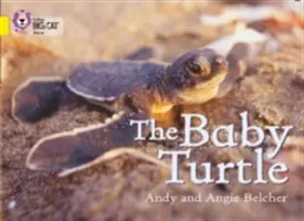Malá korytnačka - The Baby Turtle
