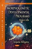 Morfogenetické vývojové programy - kmeňové bunky - Morphogenetic Developmental Programs - Stem Cells