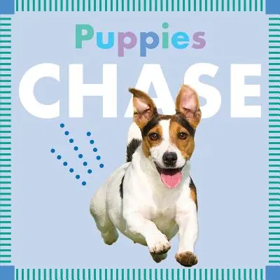 Honba za šteniatkami - Puppies Chase