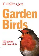 Vtáky v záhrade - Garden Birds