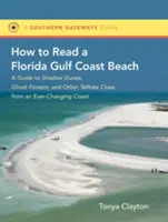 Ako čítať na pláži na pobreží Floridského zálivu: Ako spoznať tieňové duny, lesy duchov a iné príznaky neustále sa meniaceho pobrežia? - How to Read a Florida Gulf Coast Beach: A Guide to Shadow Dunes, Ghost Forests, and Other Telltale Clues from an Ever-Changing Coast