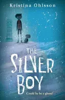 Strieborný chlapec - Silver Boy