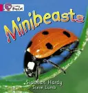 Minizverstvá - Minibeasts