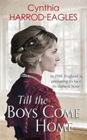 Kým sa chlapci vrátia domov: Vojna doma 5 - Till the Boys Come Home: War at Home 5