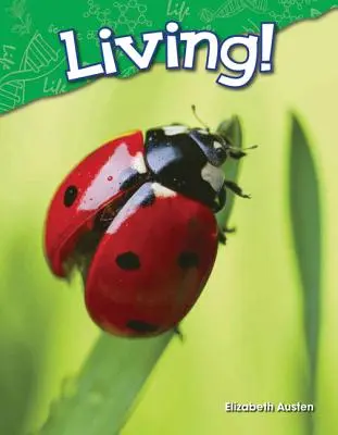 Živé! - Living!