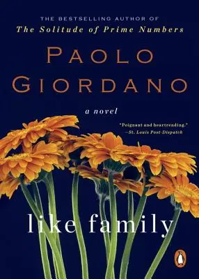 Ako rodina - Like Family