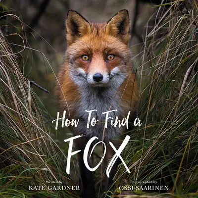 Ako nájsť líšku - How to Find a Fox
