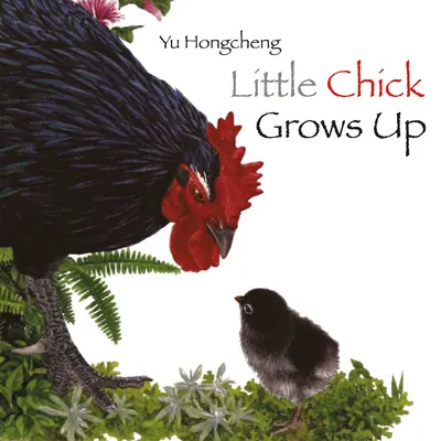Malé kuriatko vyrastá - Little Chick Grows Up