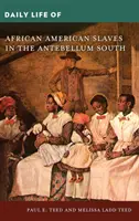 Každodenný život afroamerických otrokov na juhu v období Antebellum - Daily Life of African American Slaves in the Antebellum South