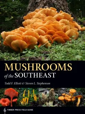 Huby juhovýchodu - Mushrooms of the Southeast