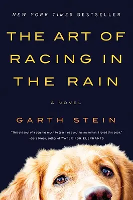 Umenie pretekania v daždi - The Art of Racing in the Rain