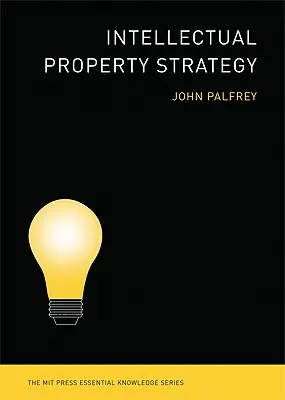 Stratégia duševného vlastníctva - Intellectual Property Strategy