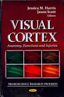 Zraková kôra - anatómia, funkcie a poranenia - Visual Cortex - Anatomy, Functions & Injuries
