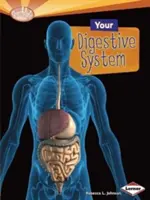 Váš tráviaci systém - Your Digestive System