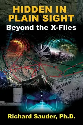 Skryté na prvý pohľad: Za hranicami Aktov X - Hidden in Plain Sight: Beyond the X-Files