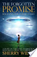 Zabudnutý prísľub: Znovu sa pripojiť k našej vesmírnej rodine - Forgotten Promise: Rejoining Our Cosmic Family