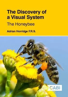 Objavenie vizuálneho systému - Včela medonosná - The Discovery of a Visual System - The Honeybee