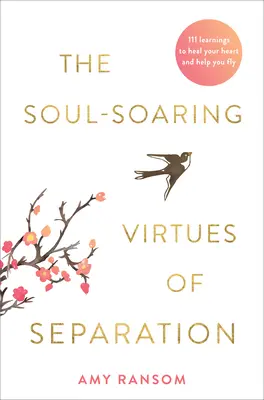 Dušu povznášajúce cnosti odlúčenia - The Soul-Soaring Virtues of Separation
