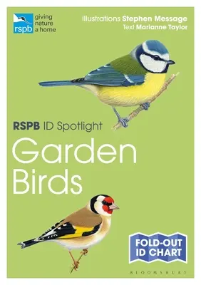 Rspb Id Spotlight - Vtáky záhrady - Rspb Id Spotlight - Garden Birds