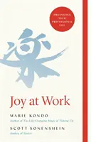 Radosť v práci - Organizácia vášho profesionálneho života - Joy at Work - Organizing Your Professional Life