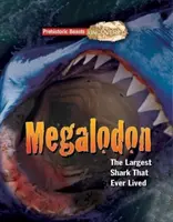 Megaladon - Odhalené prehistorické šelmy - Najväčší žralok, aký kedy žil - Megaladon - Prehistoric Beasts Uncovered - The Largest Shark That Ever Lived