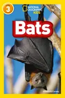 Netopiere - úroveň 3 - Bats - Level 3