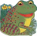 Vrecková žabka - Pocket Frog