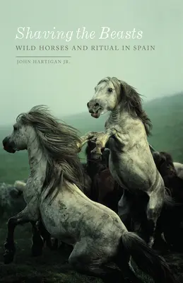 Holenie šeliem: Divoké kone a rituály v Španielsku - Shaving the Beasts: Wild Horses and Ritual in Spain