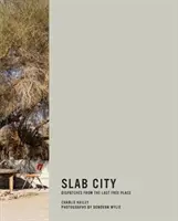 Slabé mesto: Depeše z posledného slobodného miesta - Slab City: Dispatches from the Last Free Place