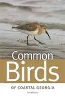 Bežné vtáky pobrežia Georgie - Common Birds of Coastal Georgia