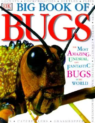 Veľká kniha chýb - Big Book of Bugs