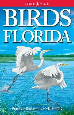 Vtáky Floridy - Birds of Florida