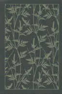 The Bront Sisters Boxed Set: Jane Eyrová; Wuthering Heights; The Tenant of Wildfell Hall; Villette - The Bront Sisters Boxed Set: Jane Eyre; Wuthering Heights; The Tenant of Wildfell Hall; Villette