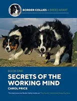 Tajomstvá pracujúcej mysle - Secrets Of The Working Mind