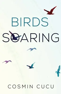 Vtáky sa vznášajú - Birds Soaring