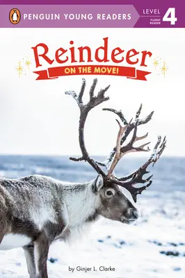 Soby: V pohybe! - Reindeer: On the Move!
