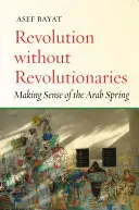 Revolúcia bez revolucionárov: Zmysel arabskej jari - Revolution Without Revolutionaries: Making Sense of the Arab Spring
