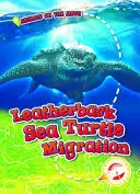 Migrácia morských korytnačiek - Leatherback Sea Turtle Migration