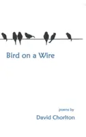 Vták na drôte - Bird on a Wire