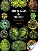 Umelecké formy v prírode - Art Forms in Nature