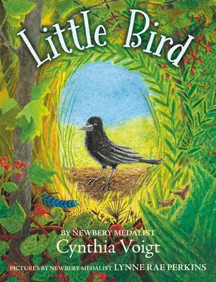 Malý vták - Little Bird