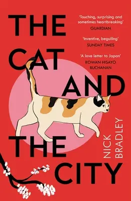 Mačka a mesto - The Cat and the City
