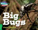 Veľké chrobáky Zelené pásmo - Big Bugs Green Band