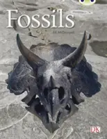 Klub chrobákov Vedená literatúra faktu Druhý ročník Zlatý A Skameneliny - Bug Club Guided Non Fiction Year Two Gold A Fossils