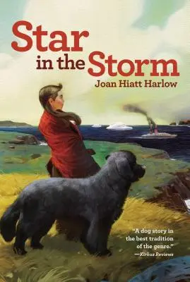 Hviezda v búrke - Star in the Storm