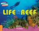 Život na útese Oranžová kapela - Life on the Reef Orange Band